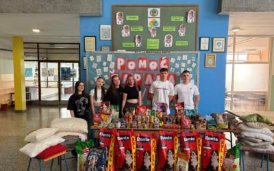 Akcija pomoć šapama